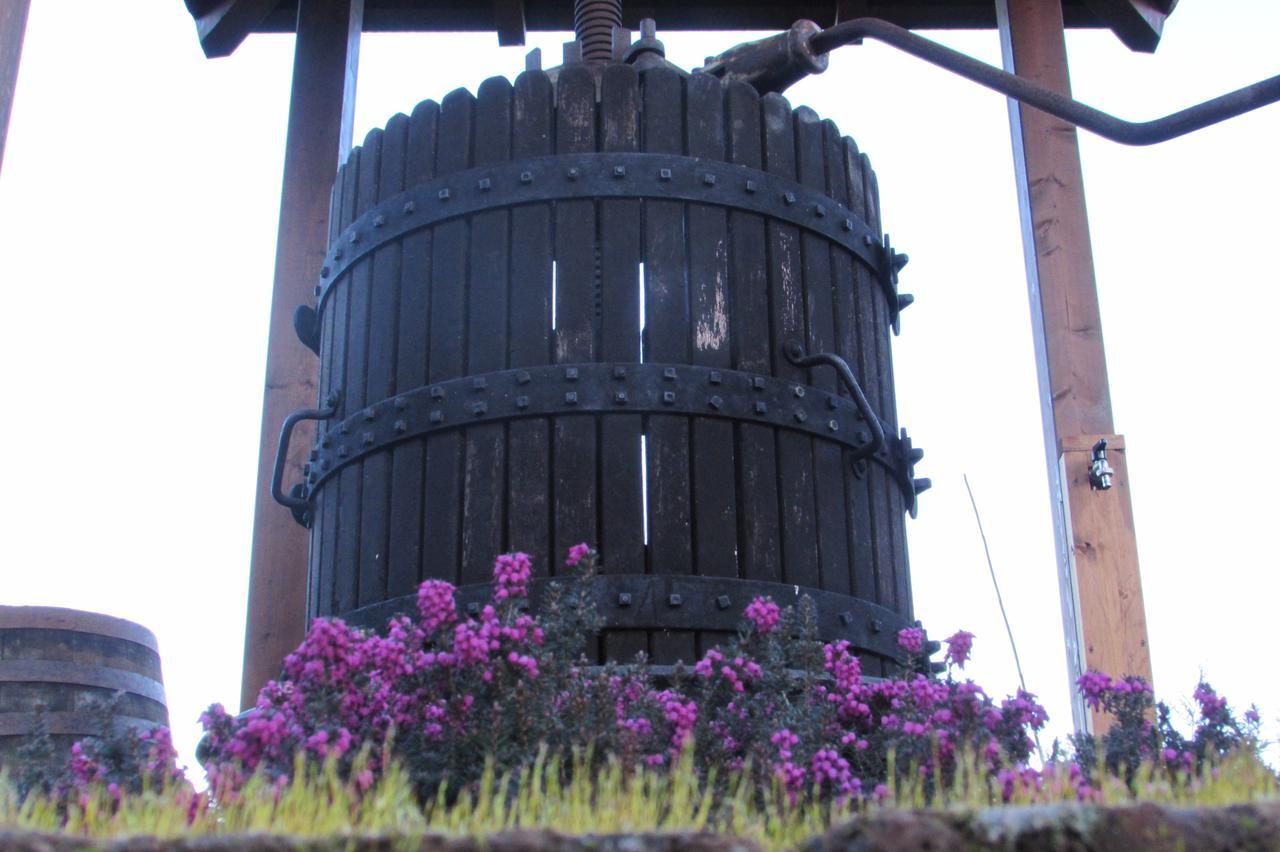 B&B Cascina Rossa Asti Exterior foto